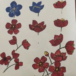 Meet your Posher, Liliana